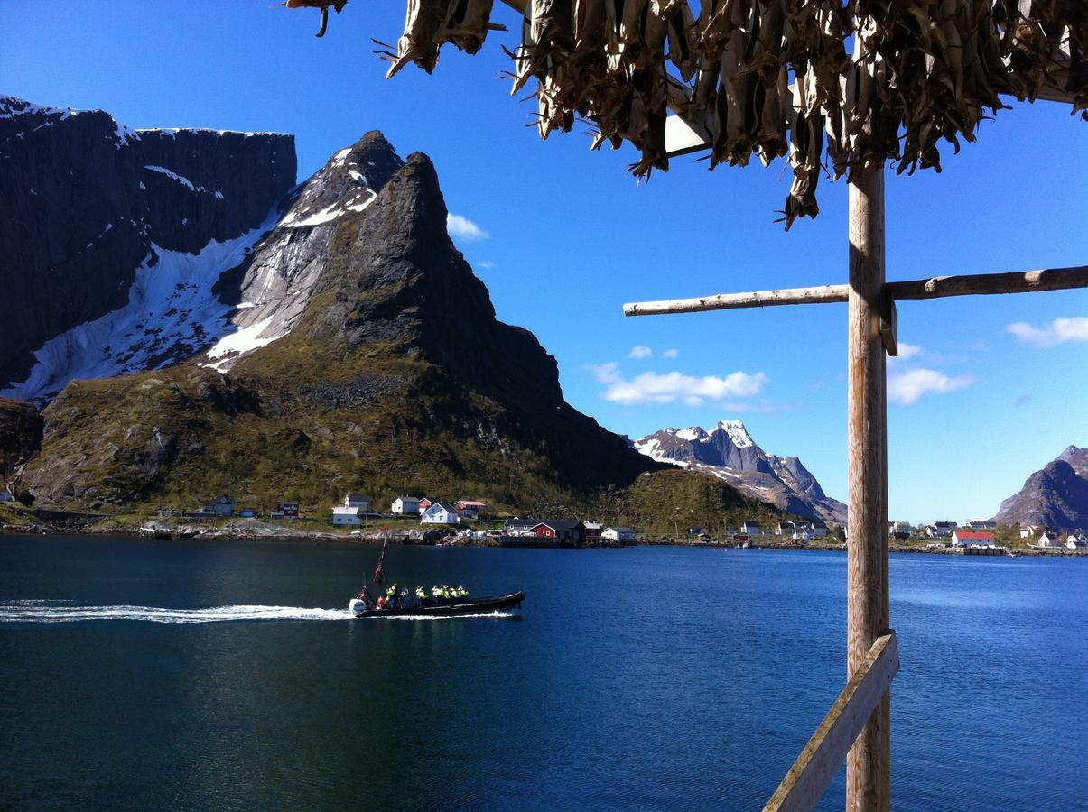 Lofoten Bed & Breakfast Reine - Rooms & Apartments Extérieur photo